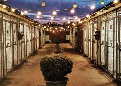 Kennels at night